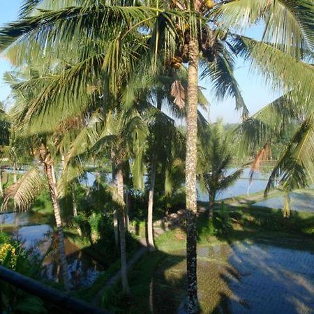 Toko Toko Bungalows Ubud Esterno foto